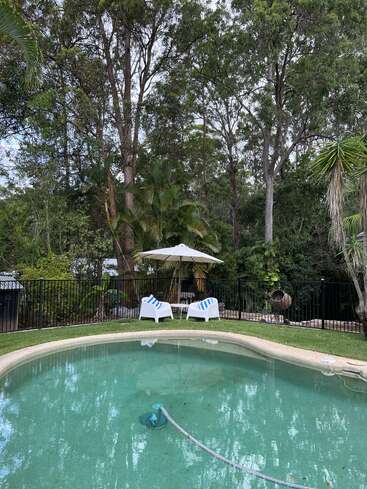 Das Bild zeigt eine ruhige Szene im Garten mit einem Pool, umgeben von üppigen Bäumen und Grün, mit zwei weißen Stühlen und einem Sonnenschirm im Hintergrund.