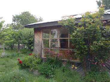 La imagen muestra una pequeña casa de madera con tejado de chapa ondulada, rodeada de exuberante vegetación y vibrantes flores, bajo un cielo nublado.