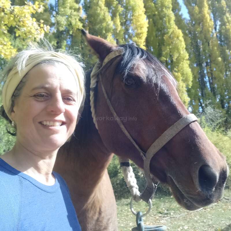 La imagen muestra a una mujer con camisa azul junto a un caballo marrón con cabestro blanco, sobre un fondo de árboles.