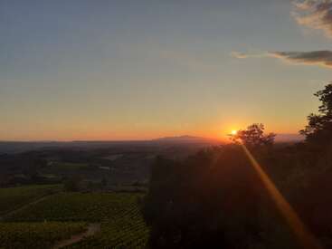 A imagem mostra um pôr do sol sereno sobre colinas onduladas, com o sol logo acima do horizonte. Campos de vinhedos verdes e árvores em silhueta emolduram a paisagem pacífica.