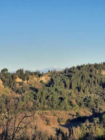 Um vasto e claro céu azul tem vista para as colinas cobertas por uma densa floresta verde. Ao longe, uma montanha coberta de neve se ergue majestosamente, completando a paisagem serena.
