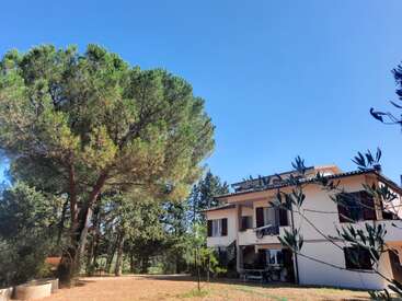 Uma casa branca de dois andares com persianas marrons fica ao lado de grandes árvores verdes sob um céu azul claro, com mesas e cadeiras ao ar livre em um dia ensolarado.