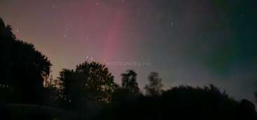 Dieses Bild zeigt eine dunkle Silhouette von Bäumen unter einem Nachthimmel, der von schwachen rosafarbenen und grünen Polarlichtern, verstreuten Sternen und einem sanften atmosphärischen Glühen erhellt wird.