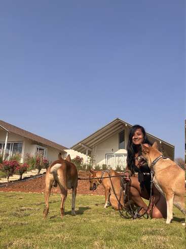 A woman kneels on green grass outside modern houses, smiling, surrounded by three brown dogs on leashes under a clear blue sky, creating a happy, serene scene.
