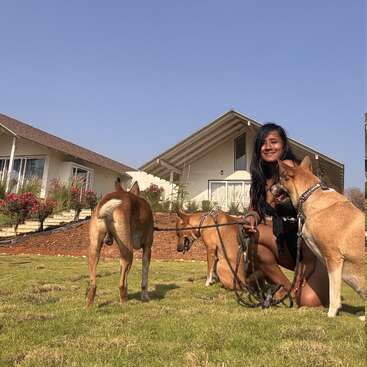Uma mulher se ajoelha na grama verde do lado de fora de casas modernas, sorrindo, cercada por três cães marrons com coleira sob um céu azul claro, criando uma cena feliz e serena.