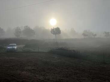 A misty morning landscape with a bright sun rising beyond scattered trees. A solitary white car sits quietly on the left side, surrounded by serene fog.