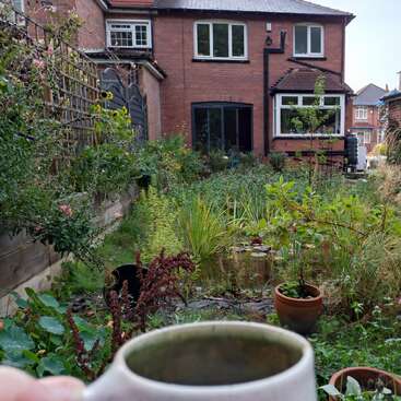 A lush, overgrown garden with various plants and a small pond faces a red-brick house. A person holds a cup in the foreground, enjoying nature.
