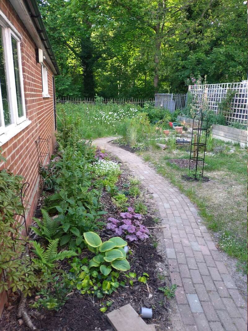 A brick pathway curves through a lush garden beside a red-brick house, bordered by vibrant plants, wildflowers, raised beds, and surrounded by tall green trees.