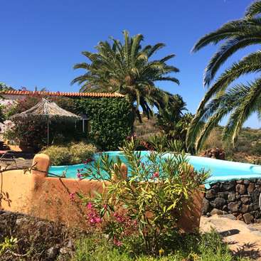 Das Bild zeigt eine heitere Poolszene mit einem leuchtend blauen Pool, umgeben von üppigen Palmen und tropischen Pflanzen, vor einem klaren blauen Himmel.