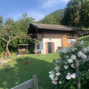 A charming cottage with wooden accents sits on a lush green lawn, surrounded by trees, blooming hydrangeas, a red wheelbarrow, and a scenic mountain backdrop.