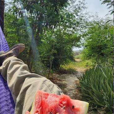 Das Bild zeigt eine Person, die in einer Hängematte liegt, mit einer Scheibe Wassermelone in der Hand, umgeben von üppigem Grün und einer ruhigen Umgebung.
