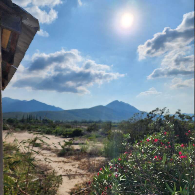 L'image représente un paysage serein avec un chemin de terre, des fleurs éclatantes et des montagnes majestueuses sous un ciel bleu vif avec des nuages blancs et le soleil qui brille dans le coin supérieur droit.