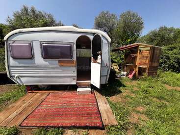 A white caravan sits on grass, decorated with a red patterned outdoor rug and wooden boards. Beside it, a wooden shed stands amid trees and greenery.