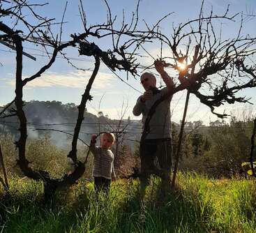 The image depicts a man and a child standing in a grassy field, surrounded by trees, with the man reaching up to a tree branch and the child holding onto another.
