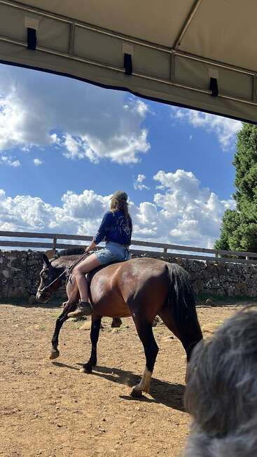 A person rides a brown horse under blue skies filled with clouds. They're wearing a cap, blue shirt, and shorts in an outdoor fenced area.