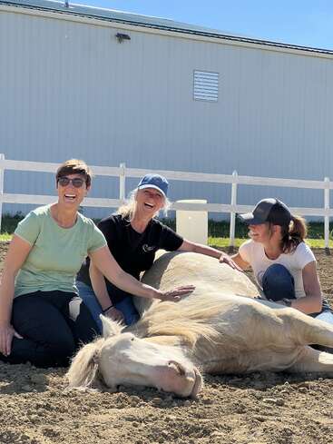 Three smiling women sit on the ground beside a large, light-colored horse lying peacefully on its side, enjoying a sunny day in an outdoor paddock.