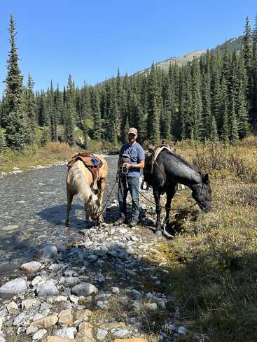 A man stands next to two saddled horses by a shallow, rocky stream surrounded by pine trees and mountains under a clear blue sky, outdoors.