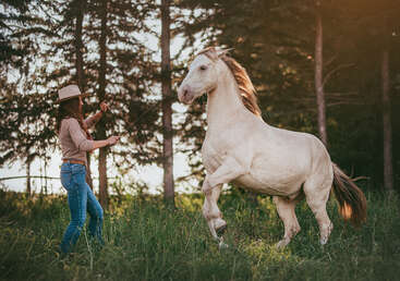 A woman wearing a hat and jeans is training a rearing white horse in a grassy area, surrounded by tall trees with sunlight filtering through.