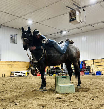 A person in a cozy indoor riding arena hugs a calm horse while lying across its back, using a green mounting block for assistance, creating a joyful atmosphere.