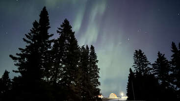 Tall pine trees silhouette against a starry night sky. Soft green northern lights illuminate the sky, while distant buildings glow warmly at the horizon below.