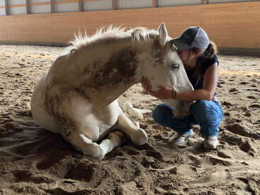 A woman gently embraces a resting horse inside an indoor arena. The horse, slightly dirty, appears calm and comfortable, showcasing a heartfelt bond between them.