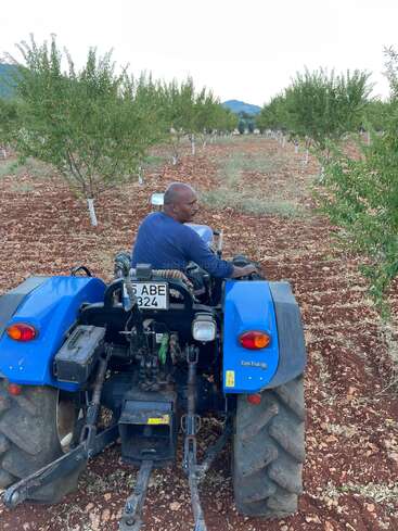 A man drives a blue tractor through a neatly planted orchard with rich, reddish-brown soil. Trees line both sides, and hills appear in the background.