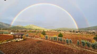 A vibrant double rainbow spans above a rural landscape, featuring green hills, scattered trees, a wooden gazebo, and a row of blue-green shrubs under a cloudy sky.