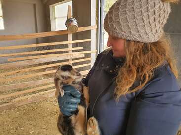 A woman in a cozy knit hat and coat gently holds a baby goat inside a barn, sharing a tender, affectionate moment on a chilly day.