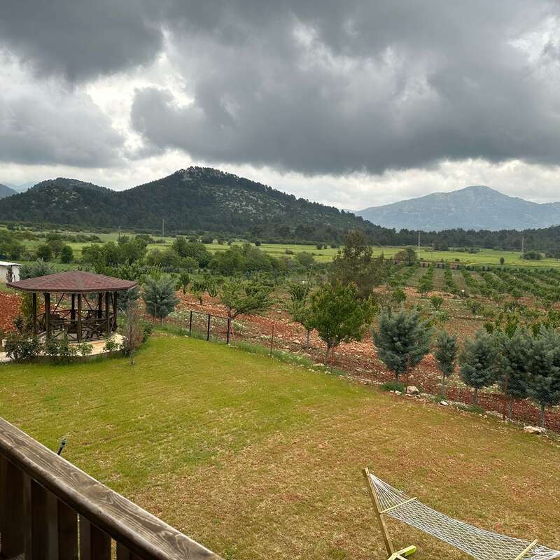 Eine friedliche Szene auf dem Land mit einem hölzernen Pavillon, grünen Feldern, jungen Bäumen, einer Hängematte und Bergen im Hintergrund unter einem wolkenverhangenen Himmel.