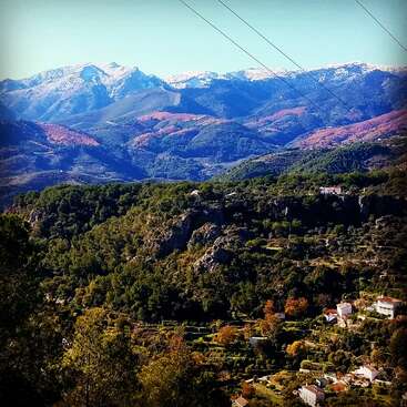 A picturesque landscape featuring lush green hills, scattered houses, terraced farms, and majestic snow-capped mountains under a clear blue sky with power lines overhead.