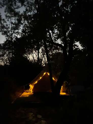 Une tente confortable, doucement éclairée par des guirlandes lumineuses, brille chaleureusement dans l'obscurité, entourée de grands arbres qui se découpent sur le ciel du soir dans une forêt paisible.