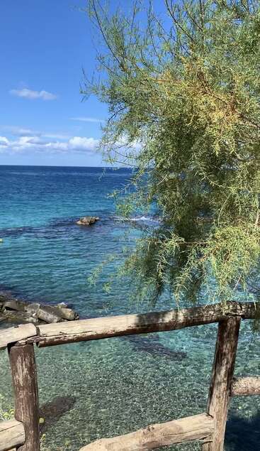 Klares blaues Meer mit sanften Wellen, ein grüner Baum im Vordergrund, ein Holzzaun, Felsen unter dem Wasser und ein sonniger, wolkengesprenkelter Himmel.