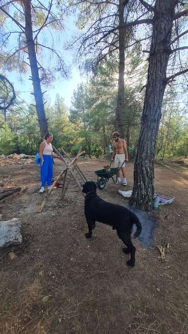 A imagem retrata uma cena serena na floresta, com um homem e uma mulher em pé perto de um abrigo improvisado, acompanhados por um cachorro preto e um carrinho de mão, cercados por árvores e um céu azul claro.