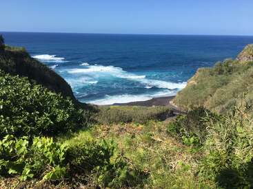 La imagen representa una serena escena costera, con un escarpado acantilado, exuberante vegetación y una vasta extensión de océano azul profundo bajo un cielo despejado.
