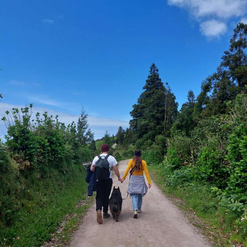 Un hombre y una mujer caminan de la mano por un sendero de tierra, acompañados por un perro, rodeados de una vegetación exuberante y un cielo azul con nubes blancas.