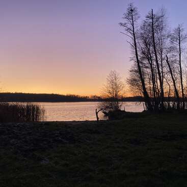 Une scène sereine au bord d'un lac au coucher du soleil, avec des silhouettes d'arbres dénudés, une eau calme reflétant le ciel coloré, et une herbe tranquille au premier plan, une atmosphère paisible.