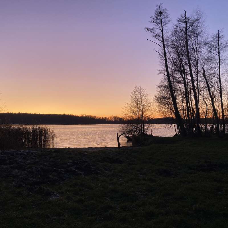 A serene lakeside scene at sunset, with silhouettes of bare trees, calm water reflecting the colorful sky, and tranquil grass in the foreground, peaceful atmosphere.