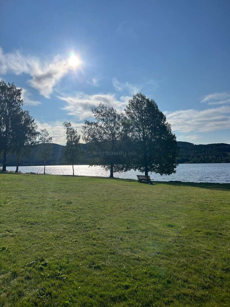 Die Sonne scheint hell am blauen Himmel mit ein paar Wolken. Bäume säumen ein ruhiges Seeufer. Eine Bank steht mit Blick auf das ruhige Wasser und lädt zum Nachdenken ein.