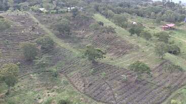 Esta imagen muestra un terreno agrícola montañoso con parcelas en terrazas y árboles dispersos. En la parte superior se ven pequeñas casas rodeadas de vegetación verde y zonas boscosas.