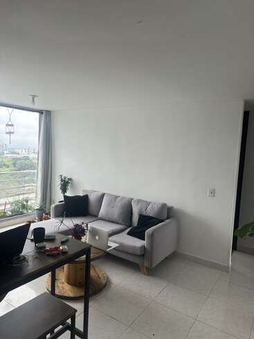A modern living room with a gray sofa, black cushions, plants by the window, a wooden coffee table, work setup, and bright natural light.