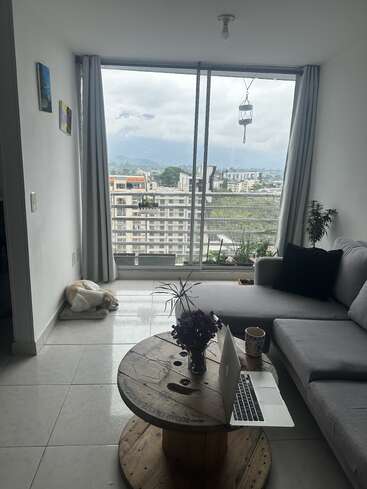 A cozy living room with a grey sofa, wooden spool table, laptop, coffee mug, potted plants, dog resting, large windows, and a cityscape view outside.