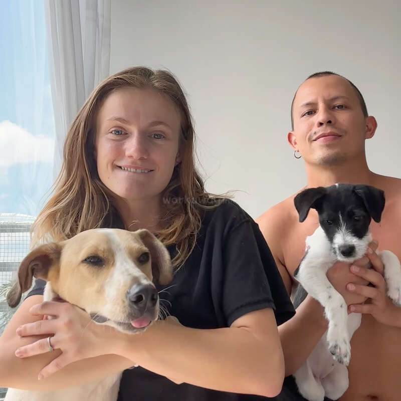 A smiling woman and man pose indoors with two adorable dogs, one large and one small, against a bright window with sheer curtains and a white wall.