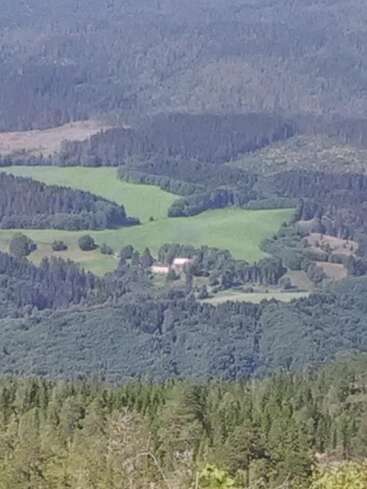 Eine üppig grüne Landschaft mit Feldern, dichten Wäldern und vereinzelten Bäumen. Eine kleine Ansammlung von Gebäuden mit weißen Dächern schmiegt sich inmitten des Grüns und der Wälder.
