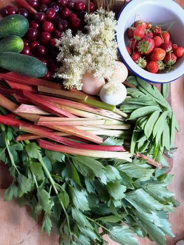Freshly harvested produce includes strawberries in a bowl, cherries, cucumbers, eggs, rhubarb stalks, elderflowers, snow peas, and leafy green herbs on a wooden surface.