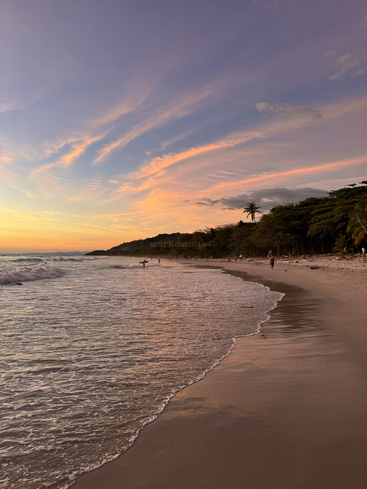 Los colores dorados del atardecer llenan el cielo sobre una tranquila playa. Las suaves olas bañan la orilla mientras la gente pasea y practica surf, enmarcada por frondosos árboles y siluetas de palmeras.