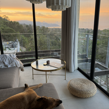 Un salon confortable avec un chien allongé sur un canapé, des murs en verre modernes, une table ronde et une vue imprenable sur le coucher de soleil sur les montagnes et la mer.
