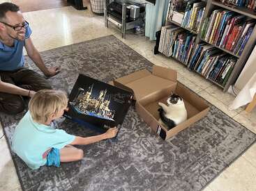 A smiling man, a boy with a LEGO Harry Potter set, and a cat sitting comfortably inside a cardboard box, all in a cozy living room.