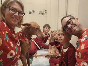 Une famille heureuse de cinq personnes, composée de deux adultes, trois enfants et deux chiens, tous vêtus de pyjamas festifs assortis, pose ensemble dans un décor intérieur chaleureux.