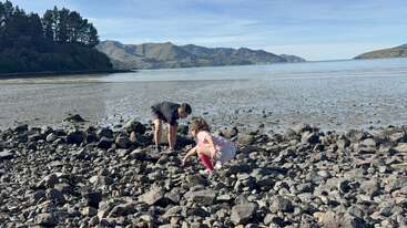 Two children are searching among rocks on a rocky shore at low tide, with a calm sea, distant hills, and trees in the background under a clear sky.