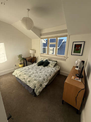 This cozy bedroom features a bed with palm-patterned bedding, a small desk with a lamp, potted plant, dresser with TV, and a window with natural light.